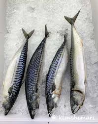 Mackerel ( Titus fish)