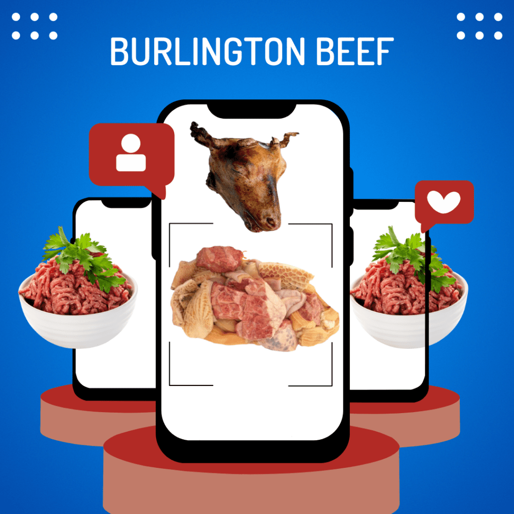 Authentic African Store in Pennsylvania