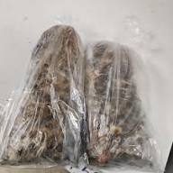 Liberian kittley Torborgee