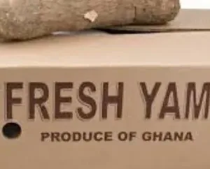Box of Ghana Yam (12 tubers) -   NEW YAM