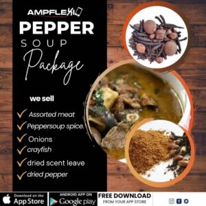 PEPPER SOUP PACKAGE