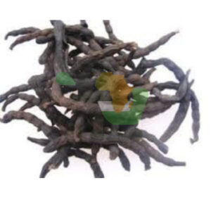 grounded Uda seed  (powder pack)