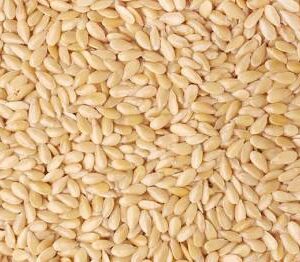 Benni Seed (Sesame Seed) – Natural, Nutritious & Versatile   16oz
