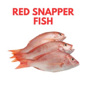 Red Snapper (box)