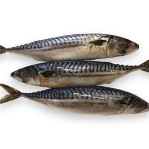 Dark Mackreal Fish -44lb